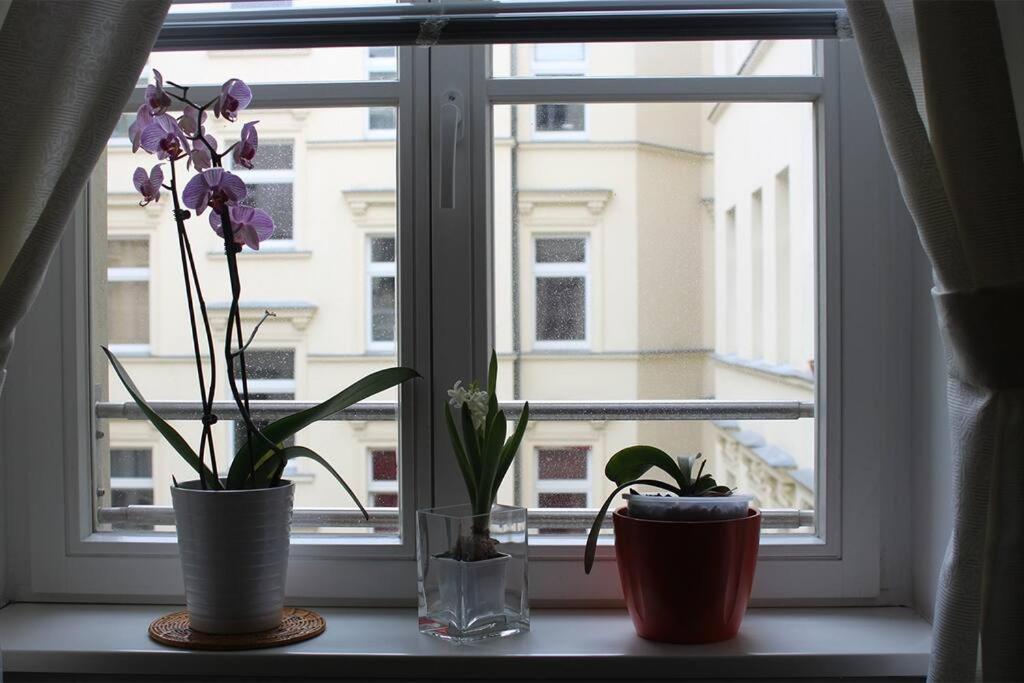 Apartment - Berlin City Studio エクステリア 写真